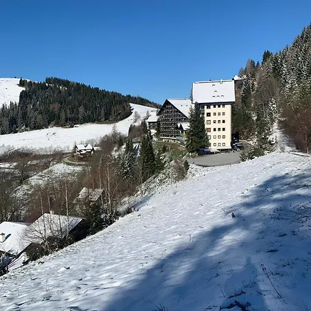 Apartment Familienapartment Mit Pool, Und Panoramablick Zirkitz